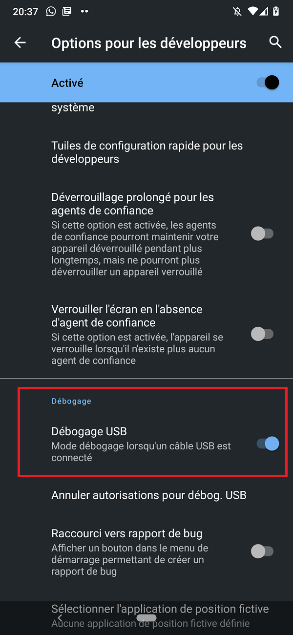 alexandra gonzalez développeur web - activer options pour les développeurs android